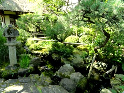 Garden - Gichuji - Otsu, Shiga - DSC06825