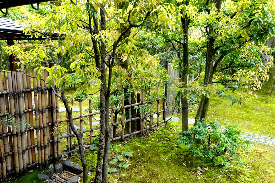 Garden - Shinise Kinenkan Museum - Nagamachi - Kanazawa, Japan - DSC00214