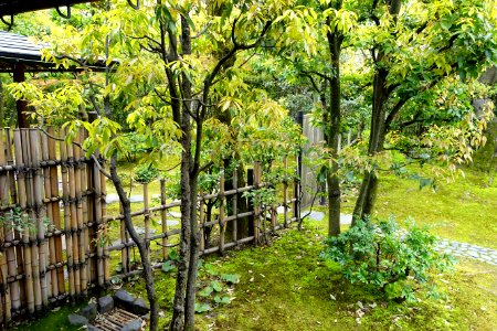 Garden - Shinise Kinenkan Museum - Nagamachi - Kanazawa, Japan - DSC00214