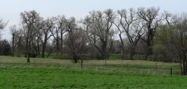 Garber Grove (Red Cloud) from N 3