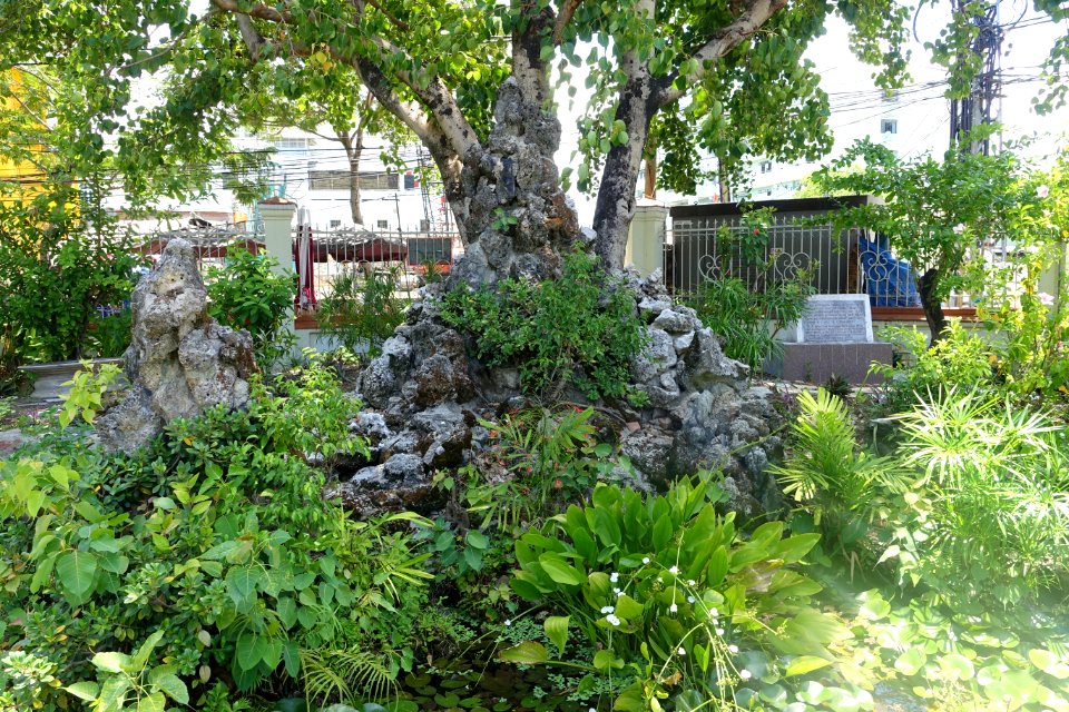 Garden - Trung Hưng Bửu Tòa - Da Nang, Vietnam - DSC02452