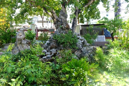 Garden - Trung Hưng Bửu Tòa - Da Nang, Vietnam - DSC02452