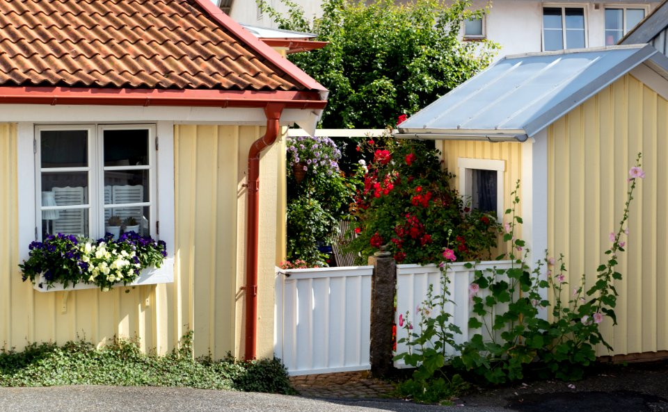 Garden at Gamla Strandgatan 21, Gamlestan, Lysekil