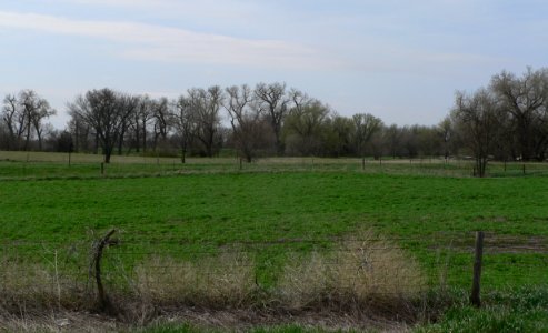 Garber Grove (Red Cloud) from N 1