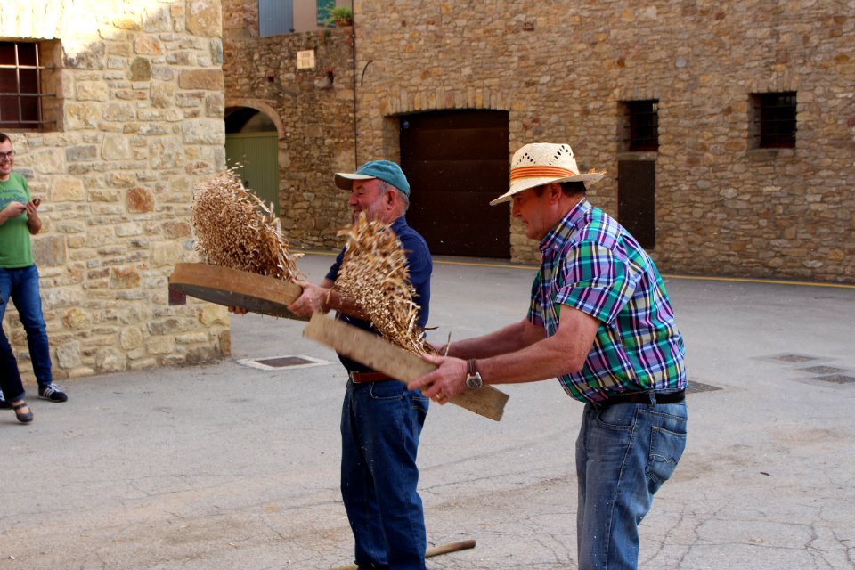 Garbellant Mètod antic de batre el fesol de l'ull ros (9)