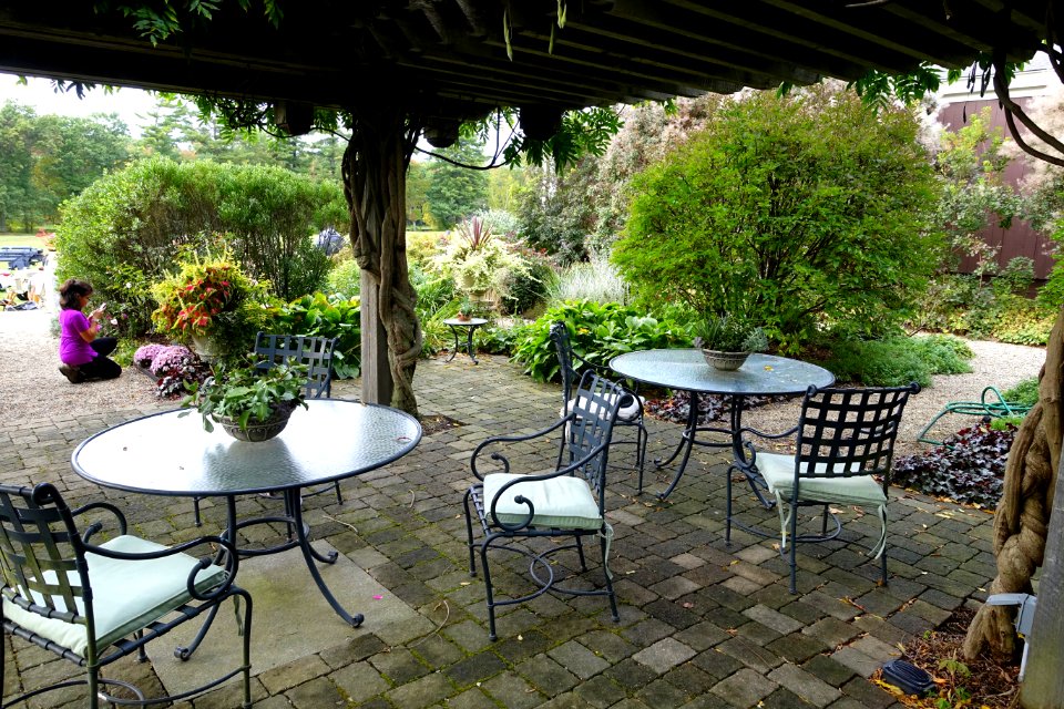 Garden - Collings Foundation - Massachusetts - DSC07137