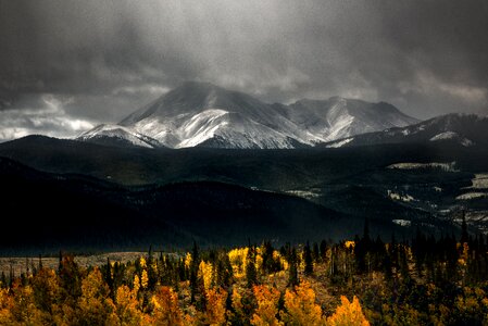 Fall fog landscape