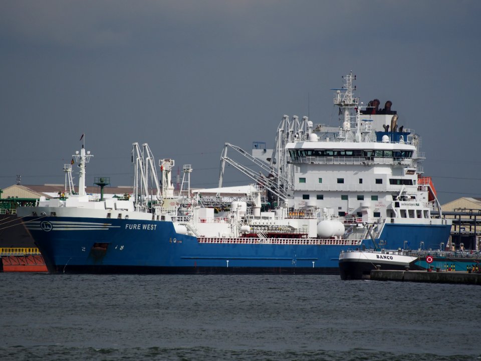 Fure West - IMO 9301873, Port of Antwerp