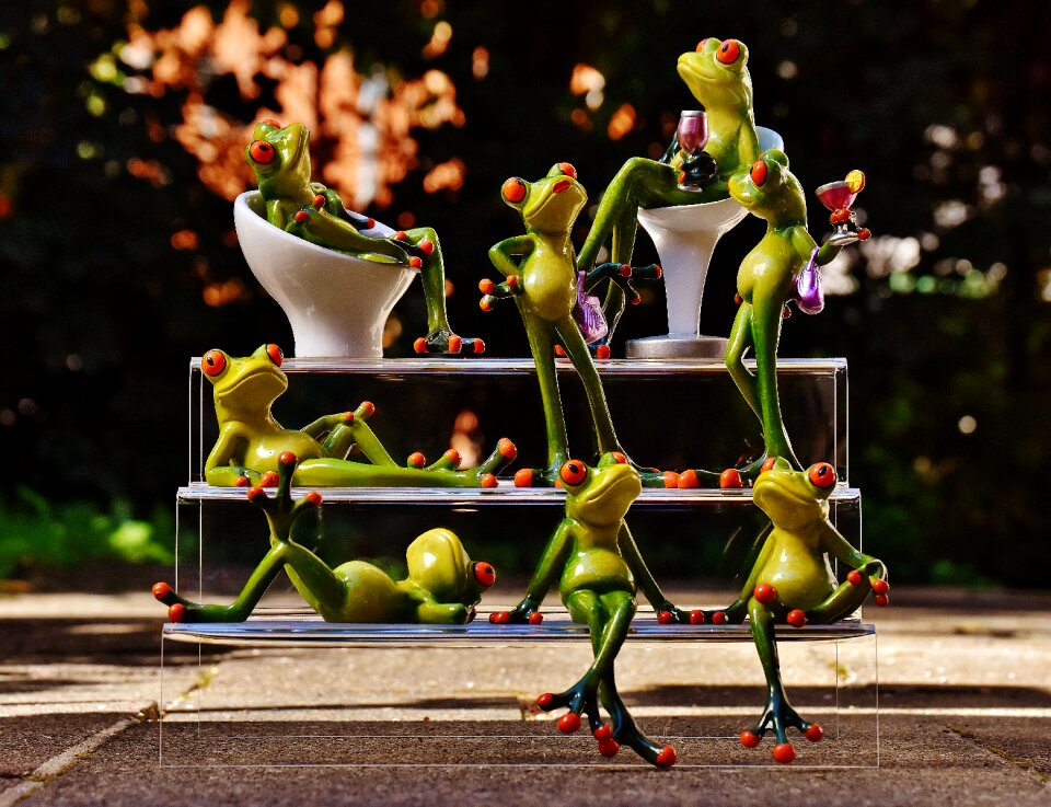 Funny fun celebrate