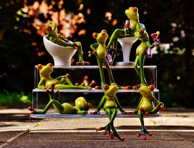 Funny fun celebrate