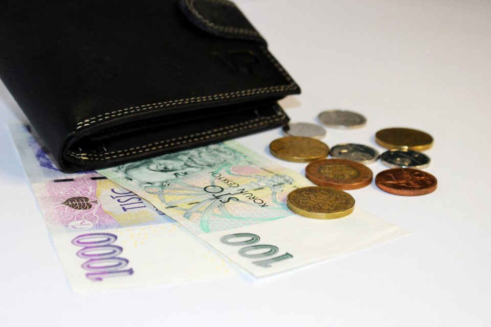 Leather wallet coins finance