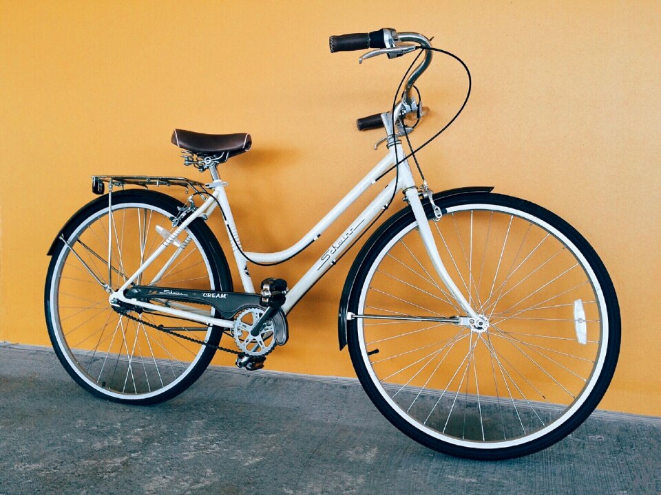 Bicycle biking sport