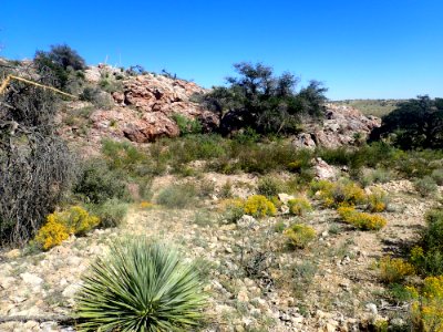 Fusselman Formation Quartzite Ridge