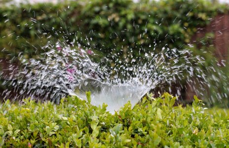 Sprinkler casting summer photo