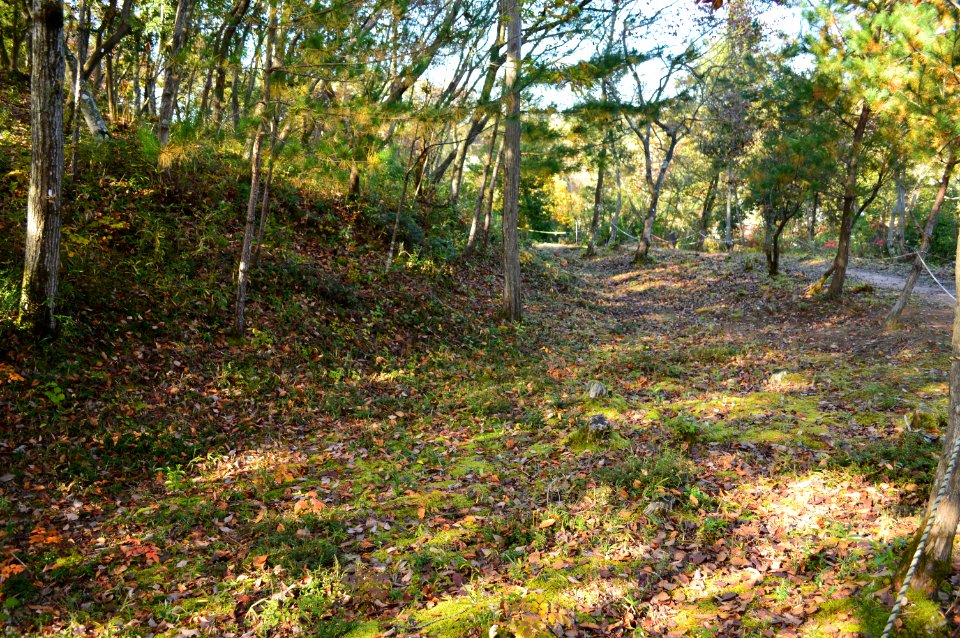 Futagozuka Kofun (Fukuyama), hori