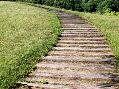 Green views landscape