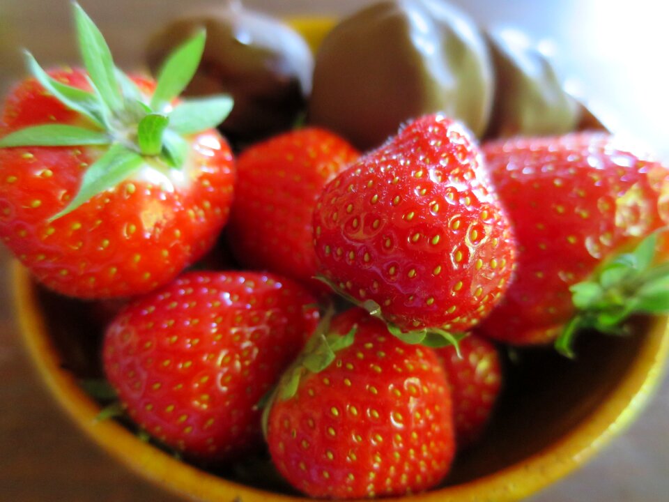 Temptations snadder norwegian