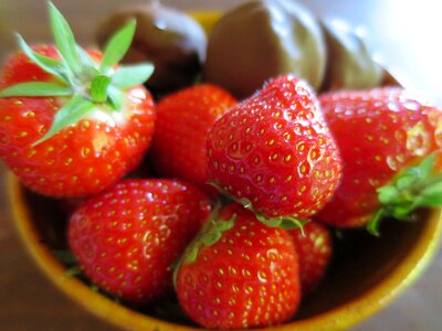 Temptations snadder norwegian