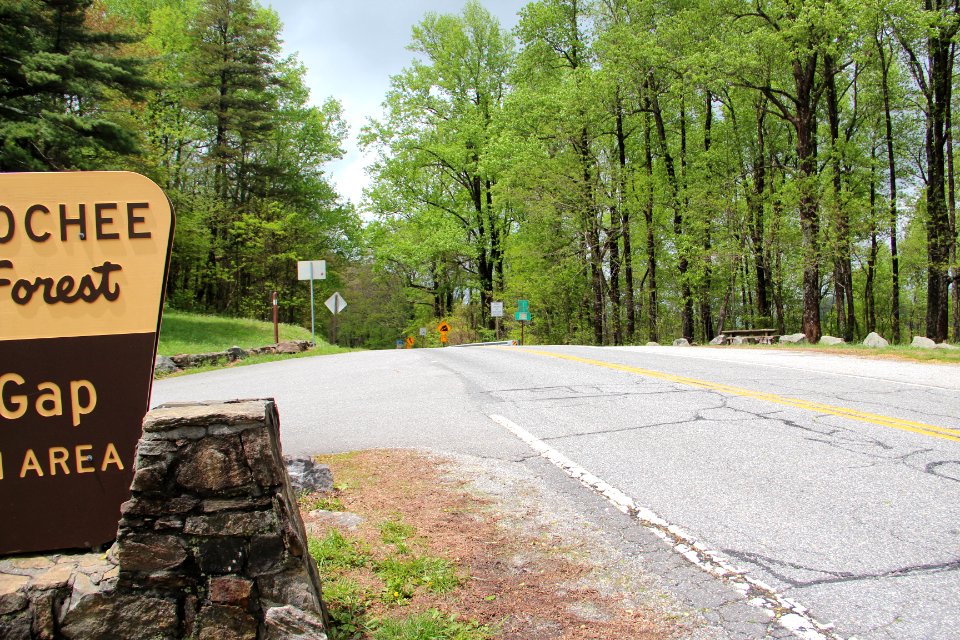 GA SR 60 at Woody Gap, April 2017