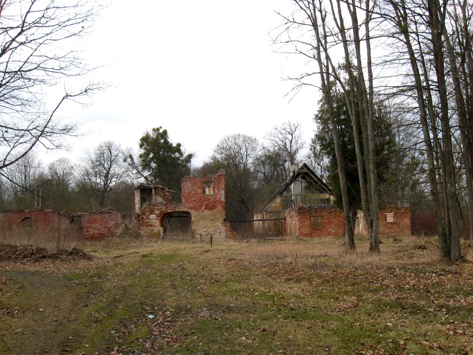 Gładysze3