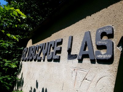 Głubczyce Las (6)