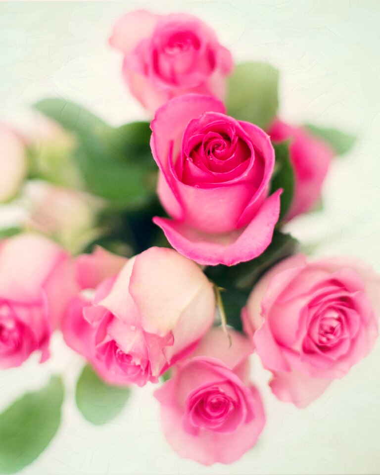 Romance romantic love