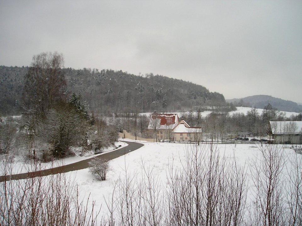 Gösselthalmühle 2011-01