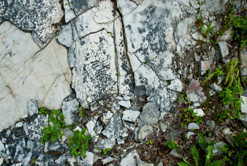 Göstling-Formation 1