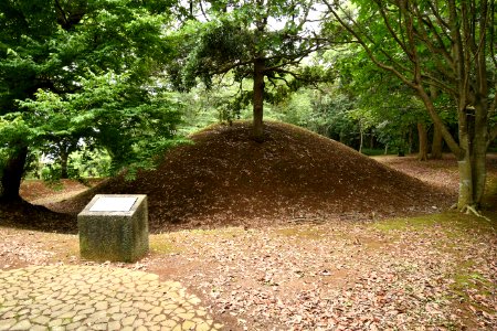 Fujimizuka Kofun Group-3, funkyu