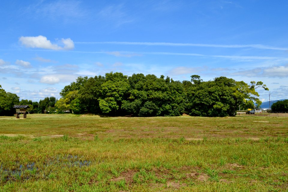 Fujiwara Palace, Daigokuden