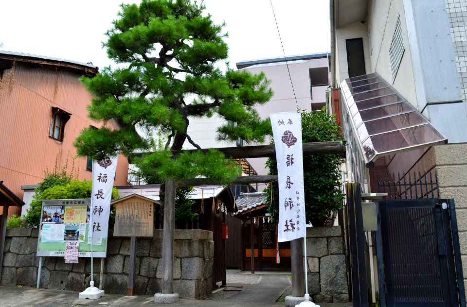 Fukunaga-jinja (Kyoto) torii