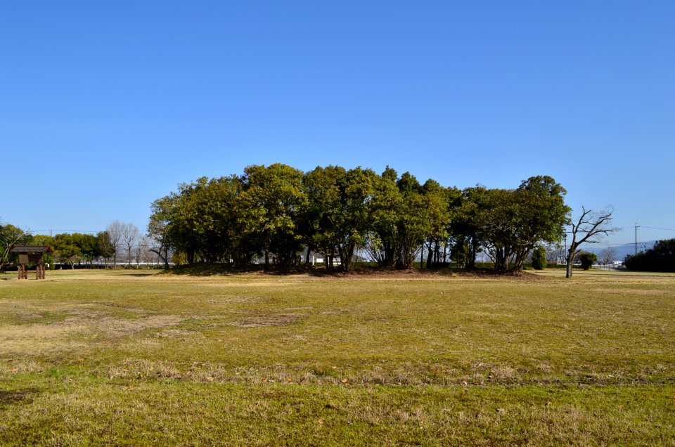 Fujiwara Palace, Daigokuden-2