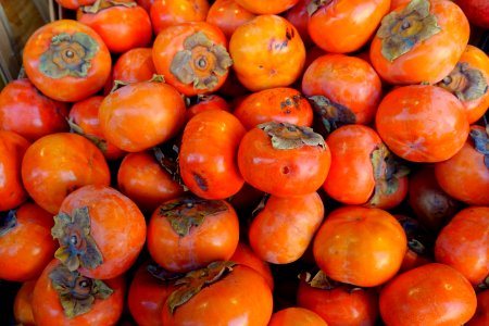 Fuyu persimmons - San Francisco, CA - DSC02402
