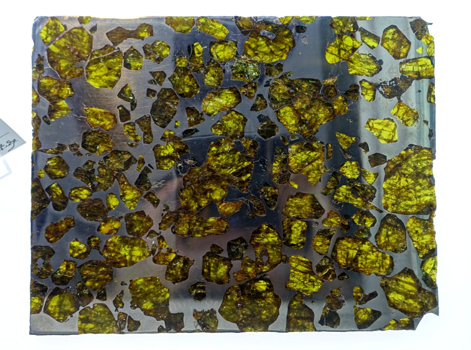 Fukang, pallasite-PMG - Center for Meteorite Studies - Arizona State University - Tempe, AZ - DSC05835