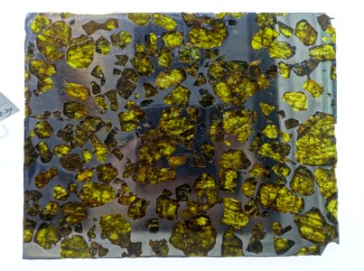 Fukang, pallasite-PMG - Center for Meteorite Studies - Arizona State University - Tempe, AZ - DSC05835