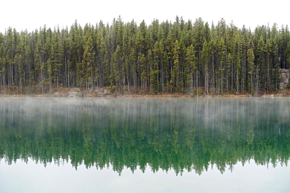 Environment mist morning