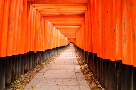 Fushimiinari-taisha, senbontorii-2 photo