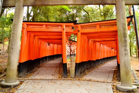 Fushimiinari-taisha, senbontorii-1