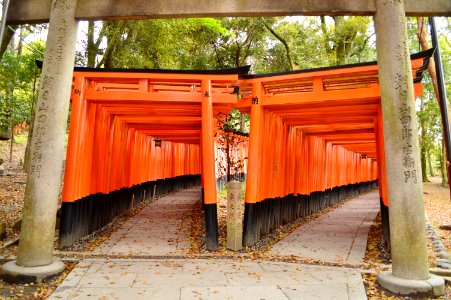 Fushimiinari-taisha, senbontorii-1 photo