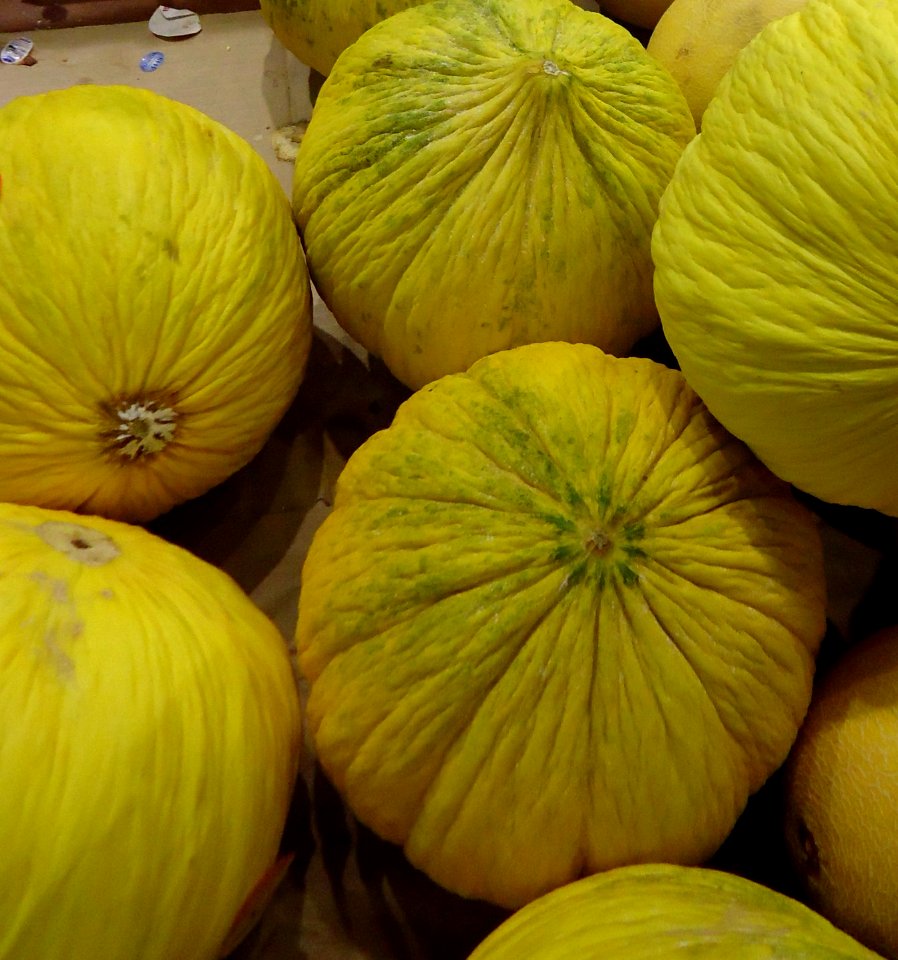 Galia melon in a supermarket