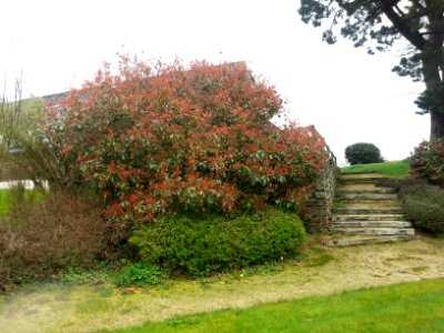 Gîte De Luzec 25