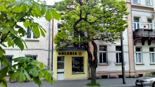 Galeria Stowarzyszenia Artystów Plastyków w Tomaszowie Mazowieckim przy ul. Piłsudskigo. PL, EU.CC0