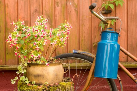 Village bike romantic