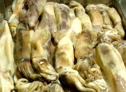 FZ Pacific squid at Asian supermarket in New Jersey