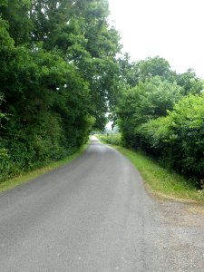 Gadbrook Lane, Gadbrook (July 2013)