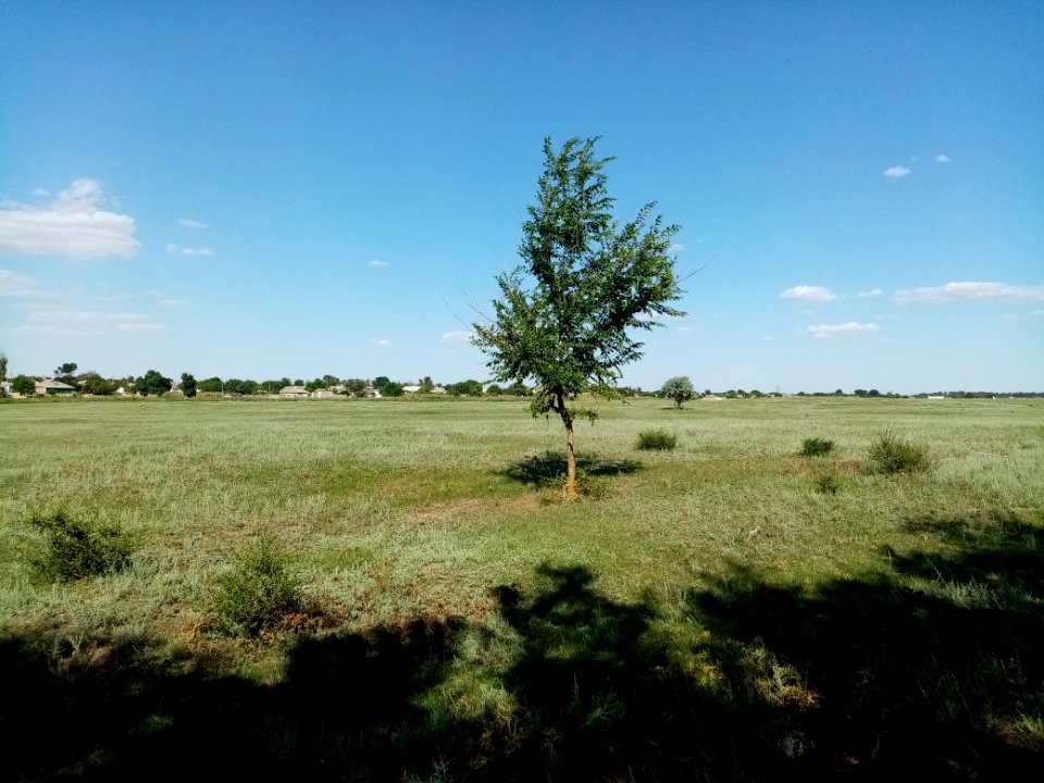 FyodorovkaRaz 3