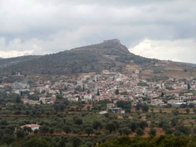 Fylla 8074722
