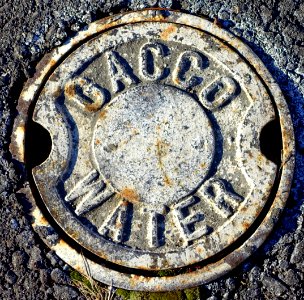 Gacco Water - Arlington, MA - DSC03394