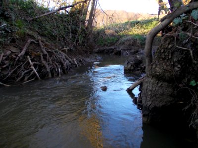 Gabernica 07