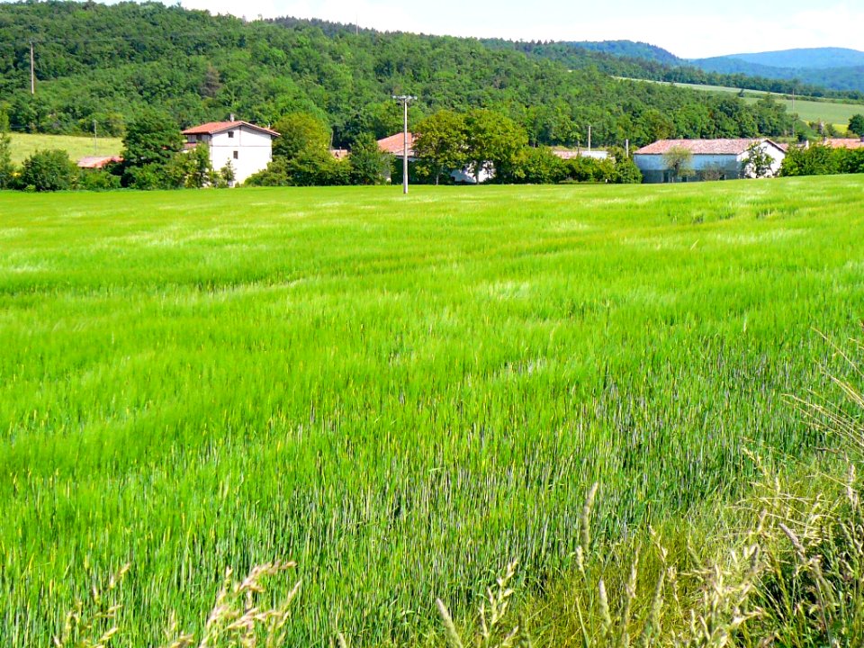 Gámiz 02